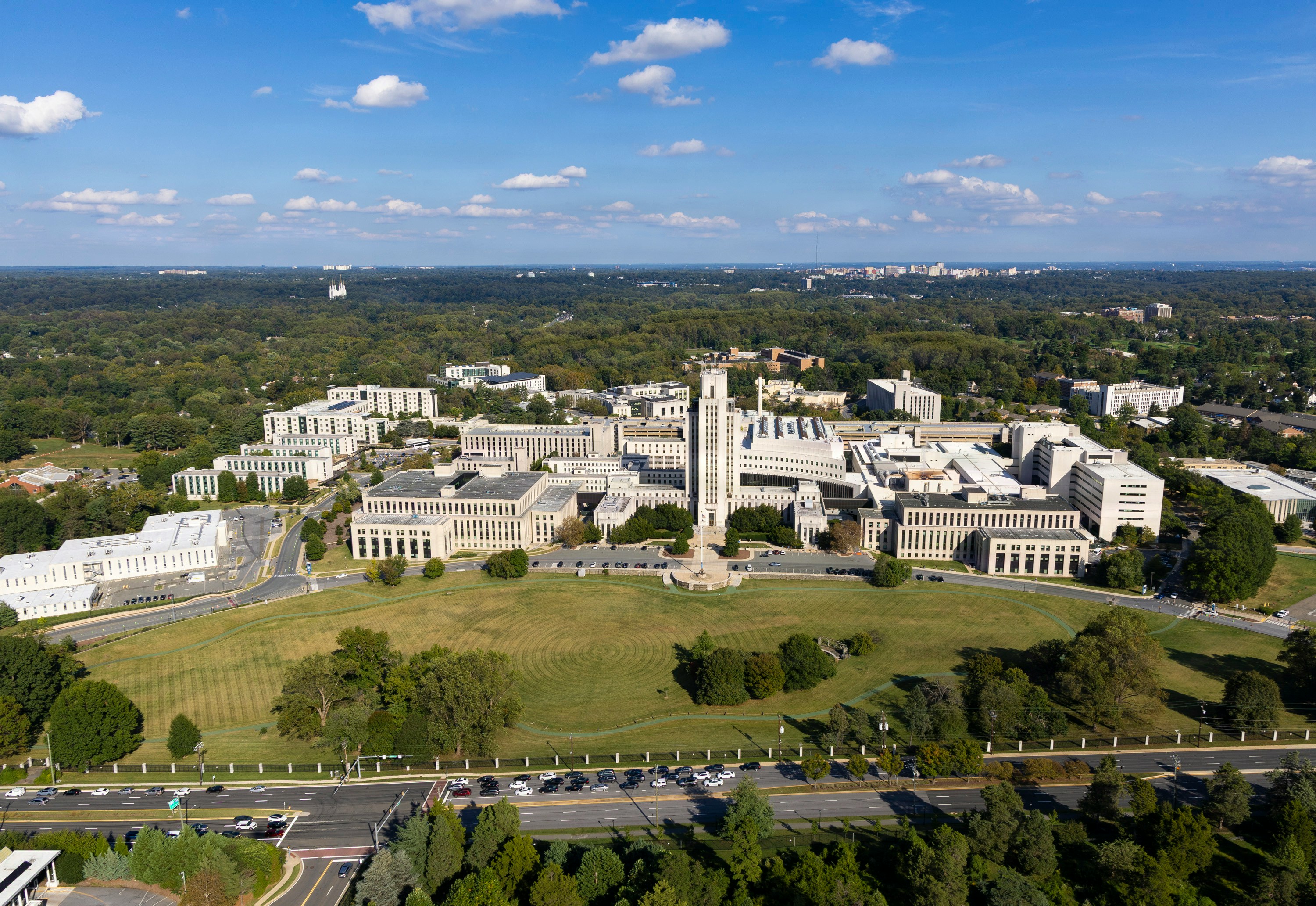 Who Leads the World's Top Universities?